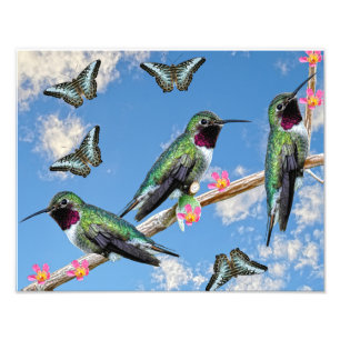Foto Tres colibríes en la rama Silencio perenne
