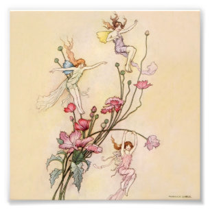 Foto “Tres Espíritus Locos de Alegría” de Warwick Goble