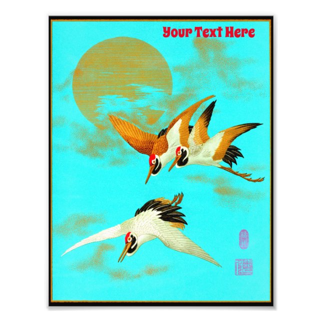 Foto Tres grullas de sari volando frente a la luna (Frente)