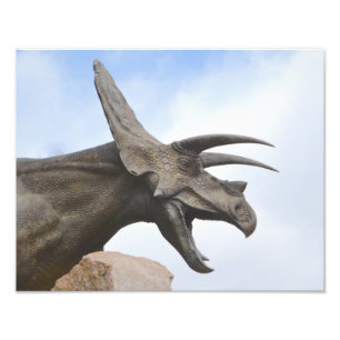 Foto Triceratops dinosaurio
