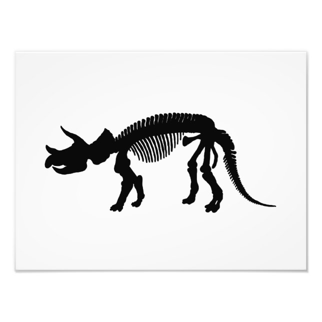 Foto Triceratops skeleton (Frente)