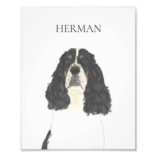 Foto Tricolor Inglés Springer Spaniel Art (Frente)