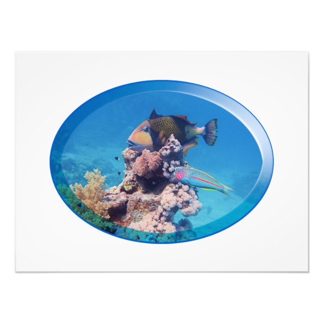 Foto Trigerfish en el arrecife de coral - Diseño fotogr (Frente)