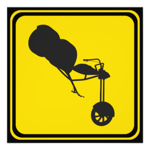 Foto ¡Trike Xing!