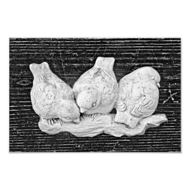 Foto Trío de pájaro (Frente)