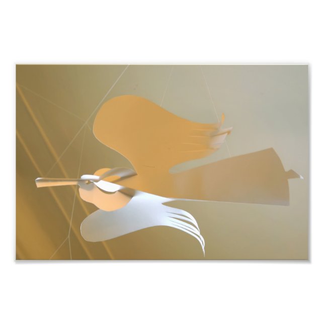 Foto Trompetas de ángel (Frente)