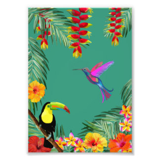 Foto Tropical Delight hummingbird toucan flowers 