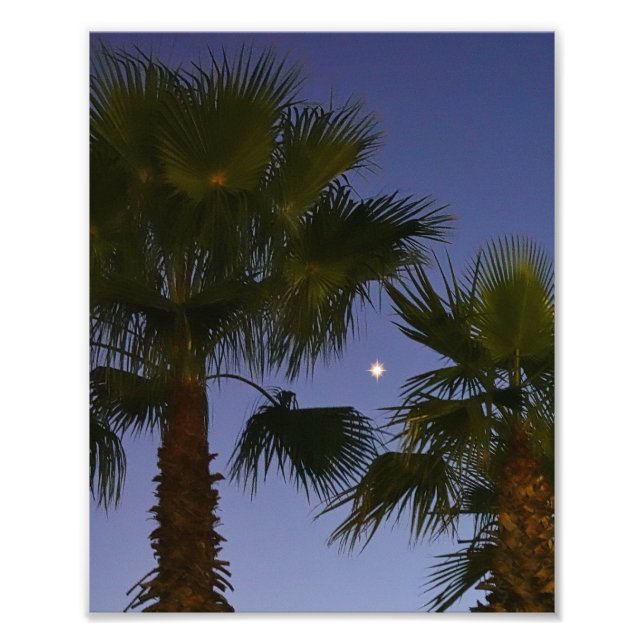 Foto Tropical Palm Tree Wall Art Twilight Coastal (Frente)