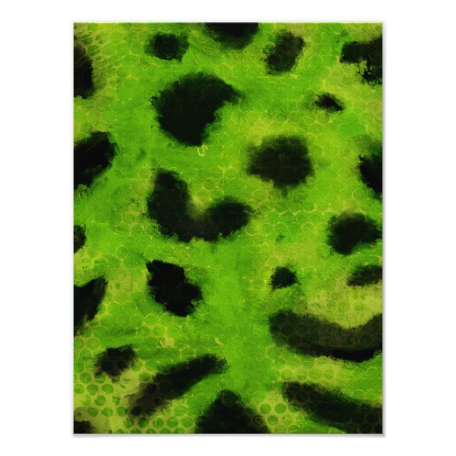 Foto Trypophobia Poster (Frente)