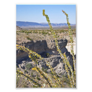 Foto Tuff Canyon & Ocotillo, Parque Nacional Big Bend
