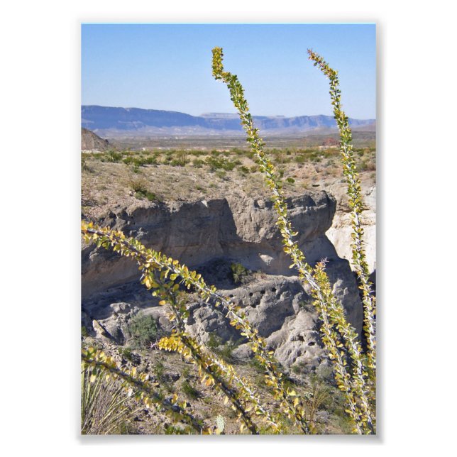 Foto Tuff Canyon & Ocotillo, Parque Nacional Big Bend (Frente)