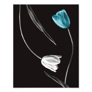 Foto Tulipán Minimalista