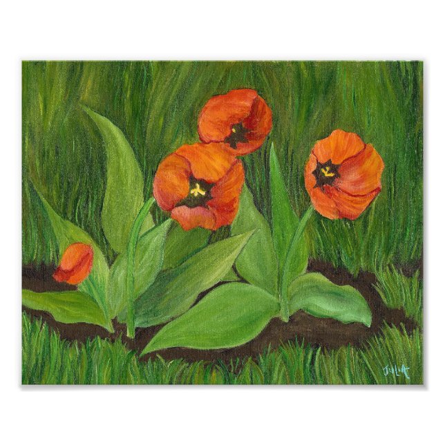 Foto Tulipanes con flores de amapola (Frente)