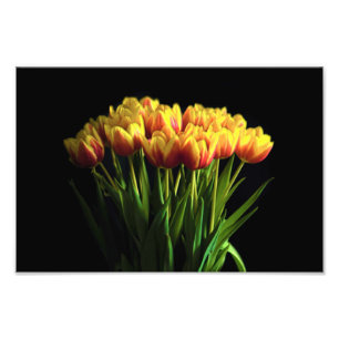 Foto Tulipanes en la vesícula de flores