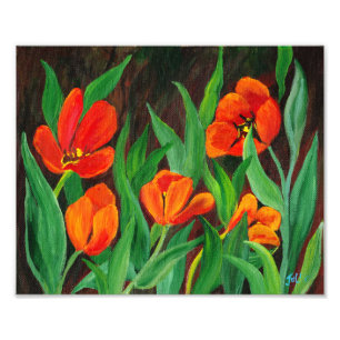 Foto Tulipanes Rojos