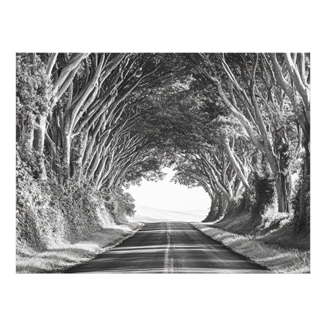 Foto Túnel de árbol Kauai fotografía negro y blanco (Frente)