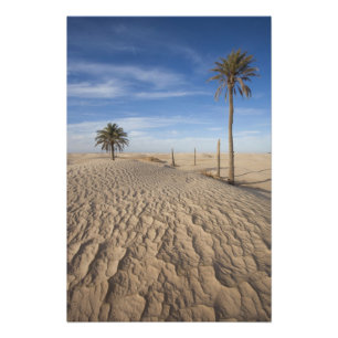 Foto Túnez, desierto del Sahara, Douz, Gran Duna, amane
