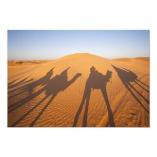 Foto Túnez, zona de Ksour, Ksar Ghilane, Gran Erg 4