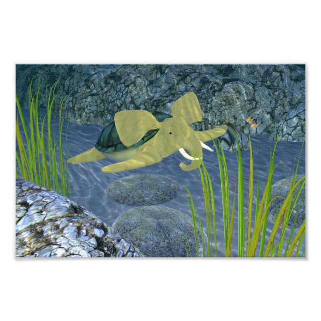 Foto Turfano De Natación (Frente)