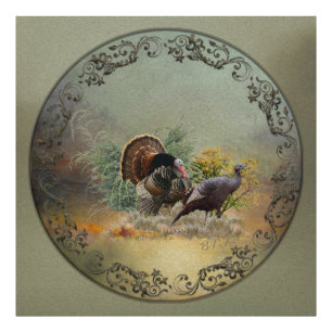 Foto Turquía silvestre