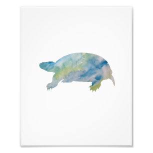 Foto Turtle Colorous Watercolor