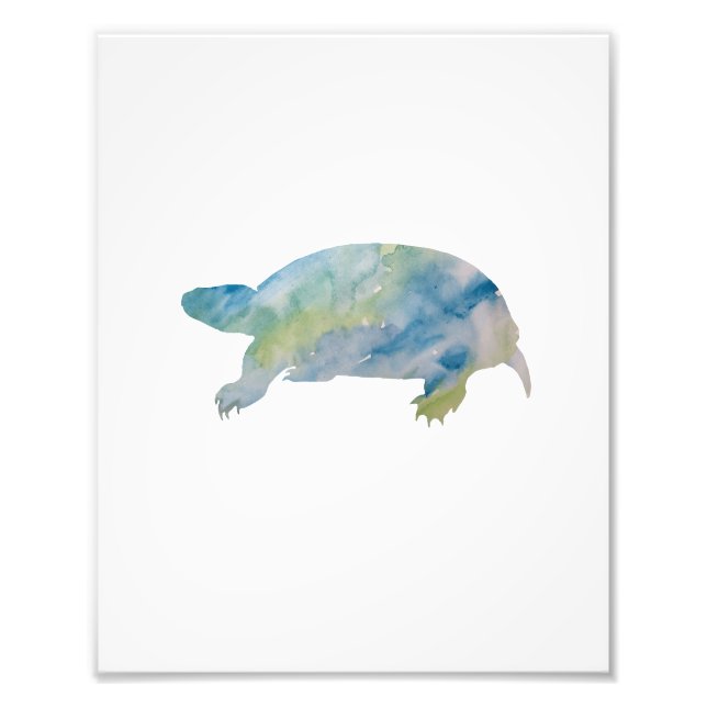 Foto Turtle Colorous Watercolor (Frente)