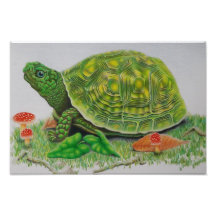 "Turtle Love" poster original de Baylen Parada (bp