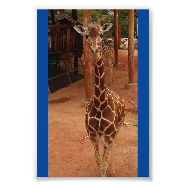 Foto Twiggy 4X6 Imprimir #2 (Frente)