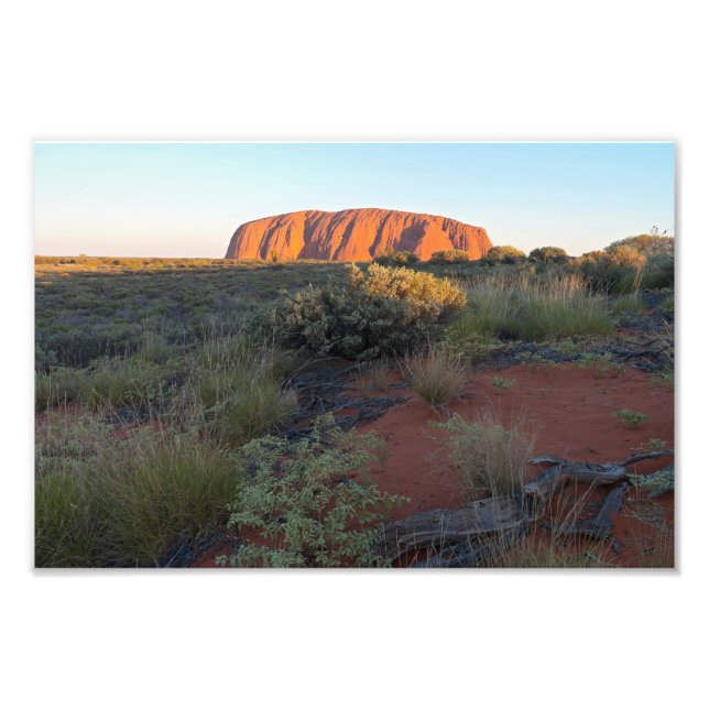 Foto Uluru Sunrise and Desert Flora (Frente)