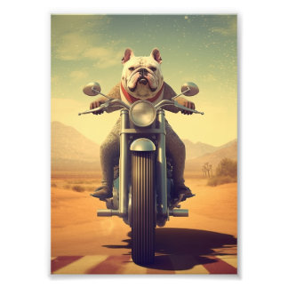 Foto Un Bulldog montando una motocicleta en un camino d
