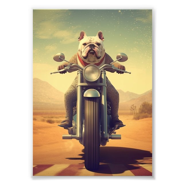 Foto Un Bulldog montando una motocicleta en un camino d (Frente)