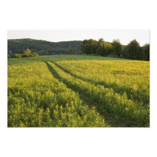 Foto Un camino rural en Sabins Pasture en Montpelier,