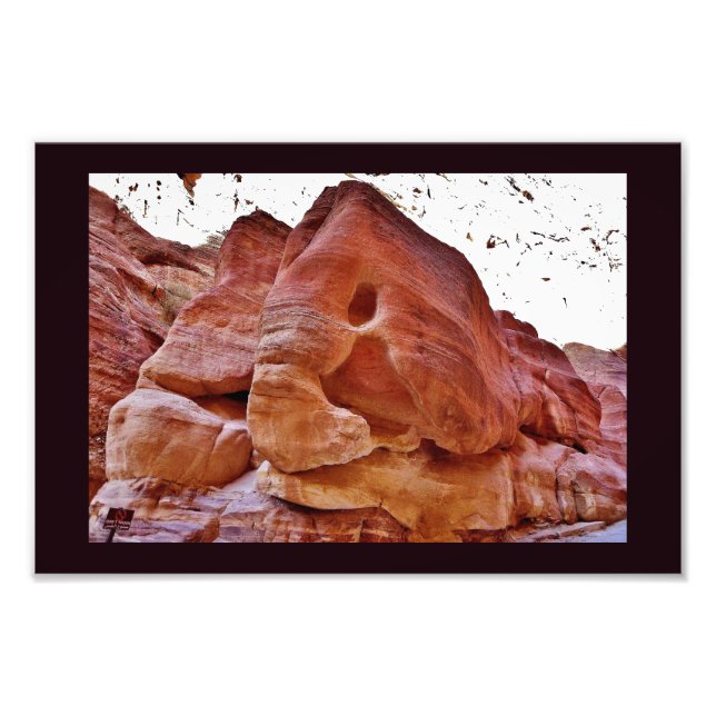Foto Un elefante en Petra (Frente)