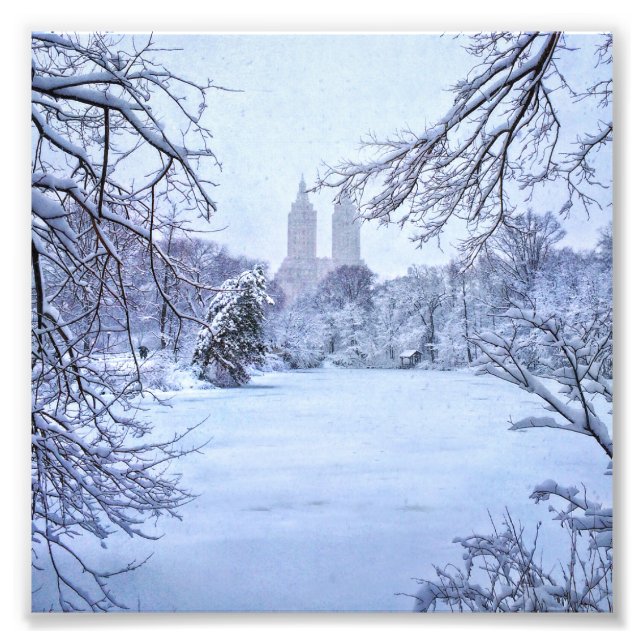 Foto Un Estanque Congelado En Central Park (Frente)