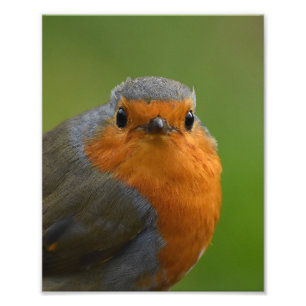 Foto Un estilo muy bueno para Robin
