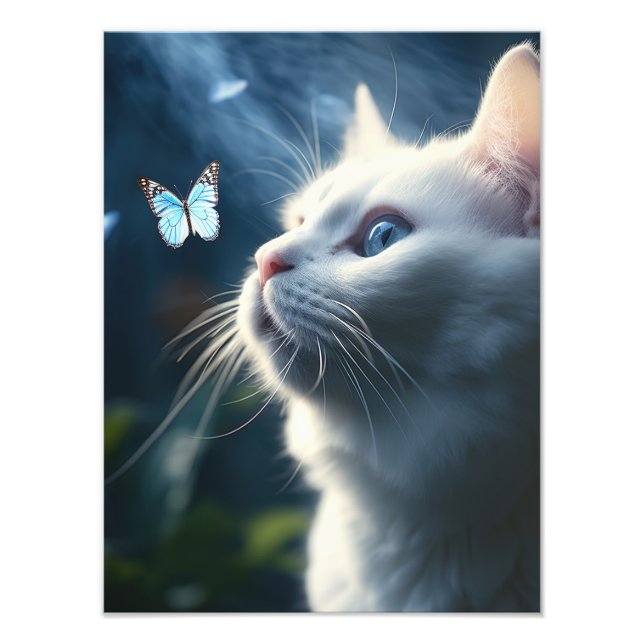 Foto Un gato blanco con ojos azules mira una mariposa (Frente)