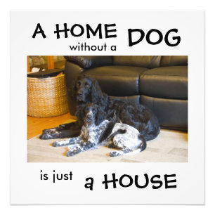 Foto Un hogar sin perro es solo una casa - arte de pare