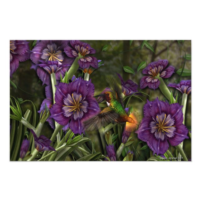 Foto Un Humm Entre Las Flores (Frente)