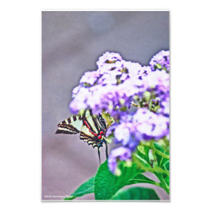 Foto Un juego de escondite y búsqueda