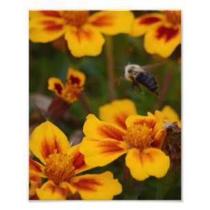 Foto Un otoño Afernoon en el jardín