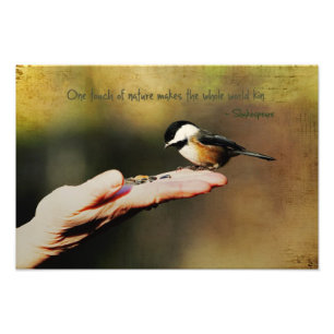 Foto Un pájaro en la mano