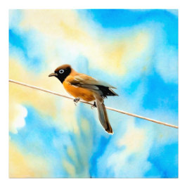 Foto Un pájaro solitario y colorido