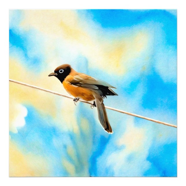 Foto Un pájaro solitario y colorido (Frente)