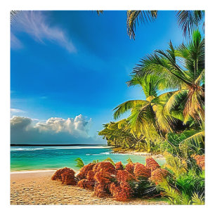 Foto Un paraíso tropical.