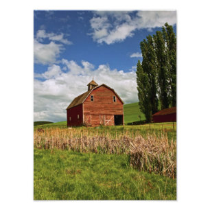 Foto Un paseo por el campo agrícola de Palouse