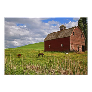 Foto Un paseo por el campo agrícola de Palouse 3
