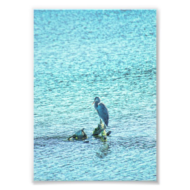 Foto Un pensador (Frente)