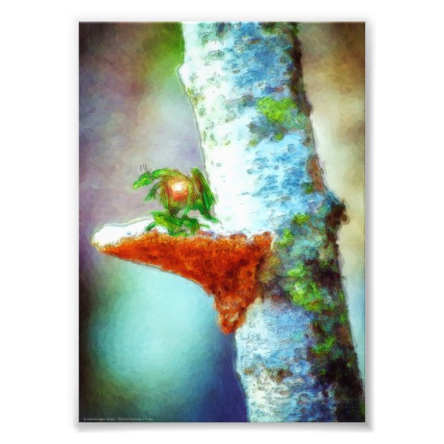 Foto Un pequeño dragón duerme (Frente)