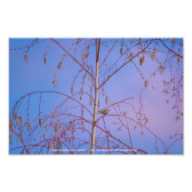 Un secreto al atardecer