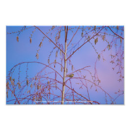 Foto Un secreto al atardecer